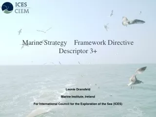 Marine Strategy    Framework Directive   Descriptor 3+