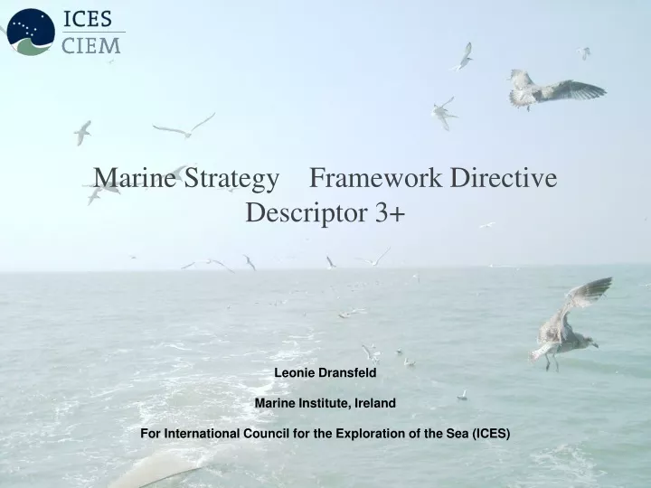 marine strategy framework directive descriptor 3
