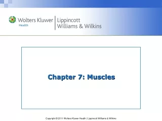 Chapter 7: Muscles