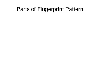 Parts of Fingerprint Pattern