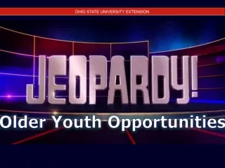 Older  Youth  Opportunities
