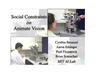 Social Constraints  on  Animate Vision