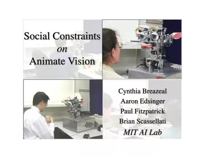 social constraints on animate vision