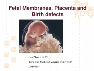 Fetal Membranes, Placenta and Birth defects