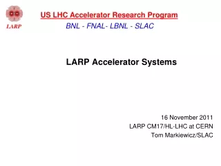 LARP Accelerator Systems