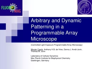 Arbitrary and Dynamic Patterning in a Programmable Array Microscope