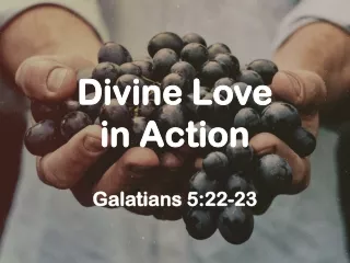 Divine Love in Action Galatians 5:22-23