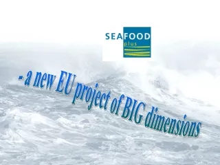 - a new EU project of BIG dimensions