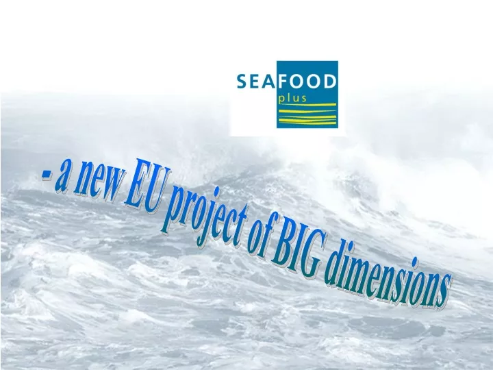 a new eu project of big dimensions