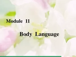 Body  Language