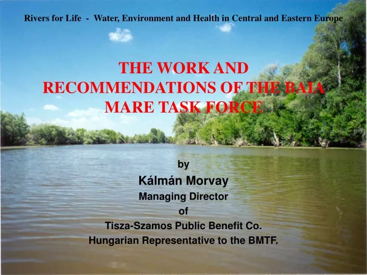the work and recommendations of the baia mare task force