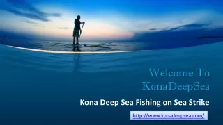 Kona Fishing charters