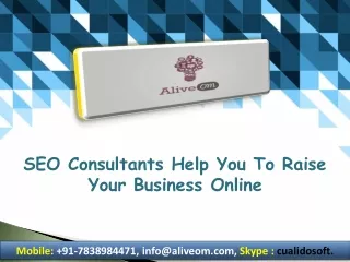 SEO Consultants Help You To Raise Your Business Online