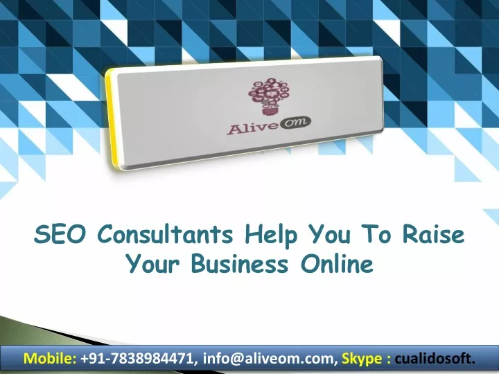 seo consultants help you to raise your business