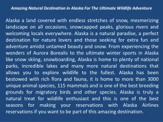 Amazing Natural Destination in Alaska For The Ultimate Wildlife Adventure