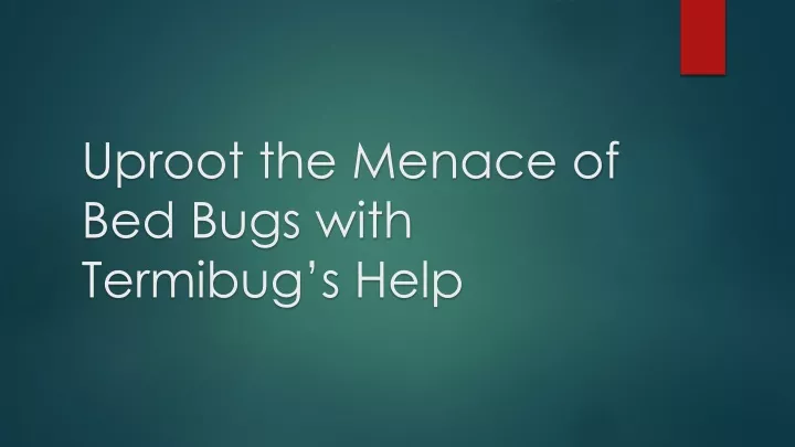 uproot the menace of bed bugs with termibug s help