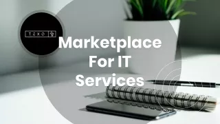 IT services marketplace by Texo