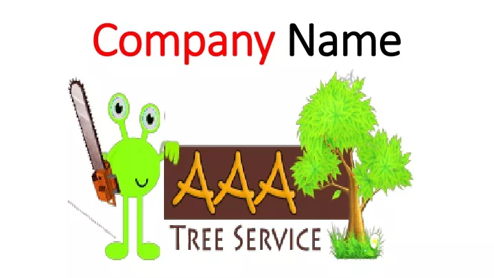 company company name