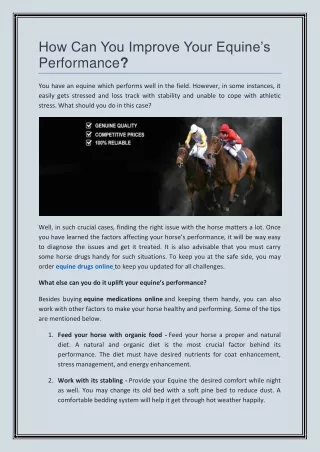 how can you improve your equine s performance
