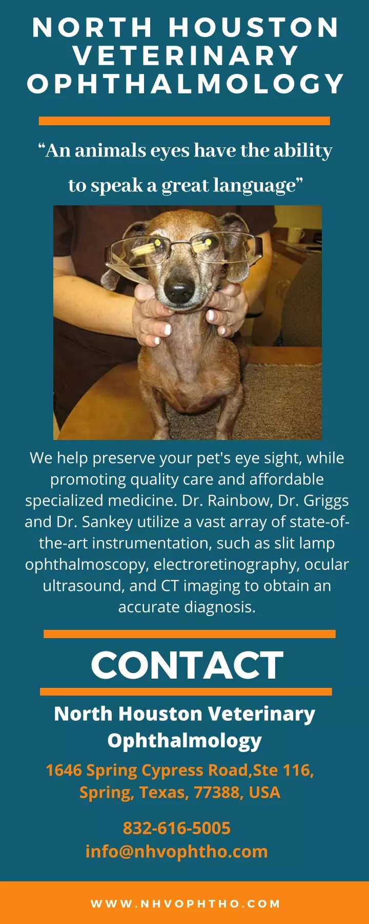 north houston veterinary ophthalmology