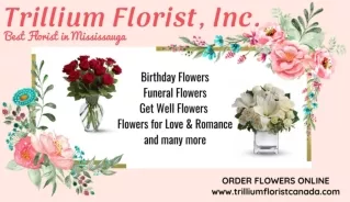 Best Florist in Mississauga - Trillium Florist, Inc.
