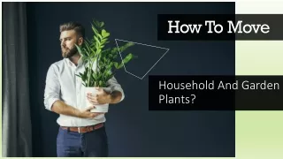 How To Move Household And Garden Plants?