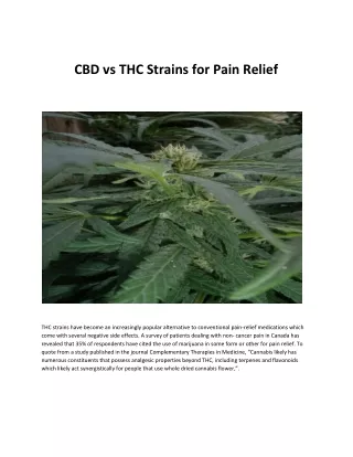 CBD vs THC Strains for Pain Relief