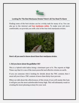 looking for the best marijuana strains here