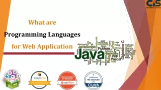 What are programming languages for web application