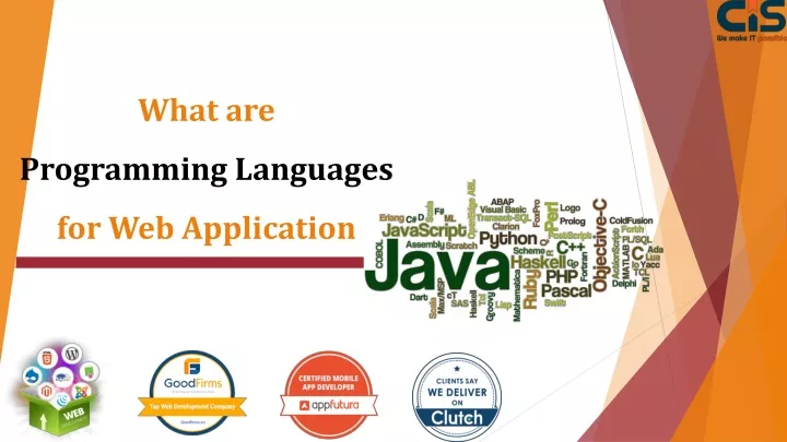 what are programming languages for web application