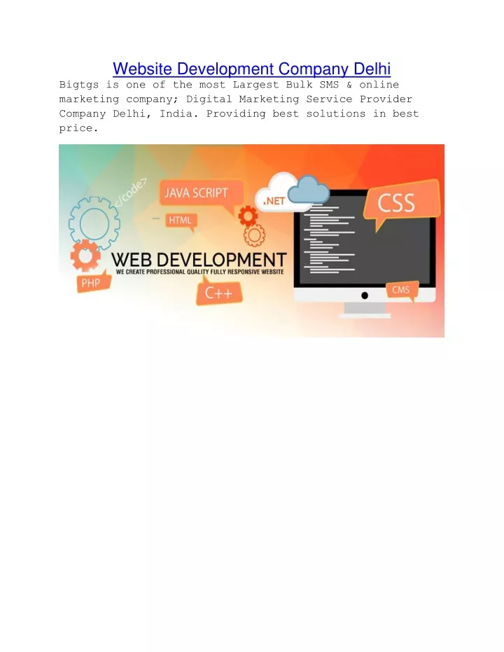 website development company delhi bigtgs