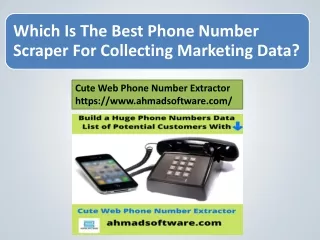 which is the best phone number scraper