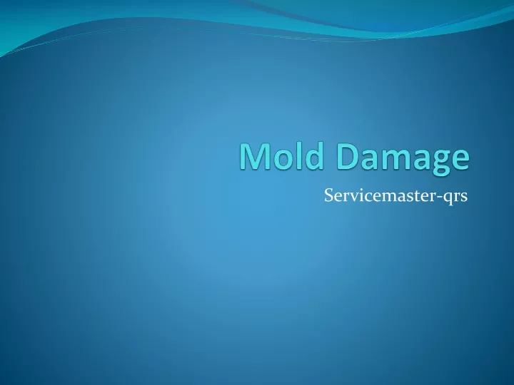 mold damage