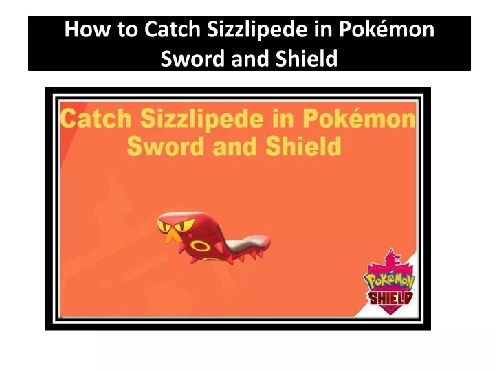 how to catch sizzlipede in pok mon sword and shield