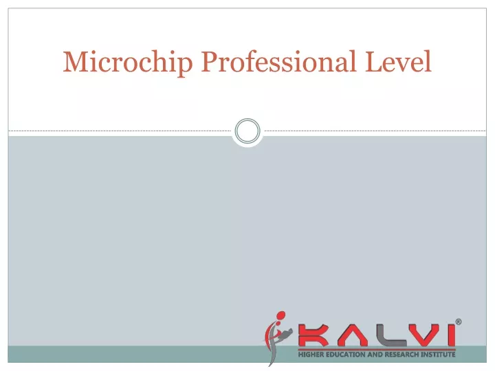 microchip professional level