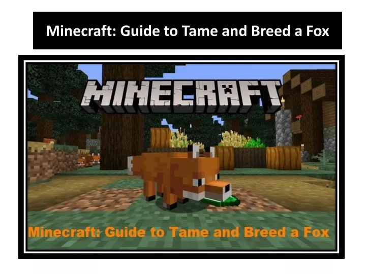 minecraft guide to tame and breed a fox
