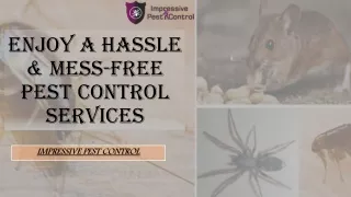 Impressive Mess Free Pest Control Service