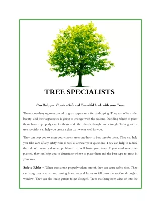 Tree Specialists can Help you Create a Safe and Beautiful Look with your Trees