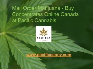 Mail Order Marijuana - Buy Concentrates Online Canada at Pacific Cannabis