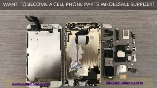 Factors That Make You A Cell Phone Parts Wholesaler