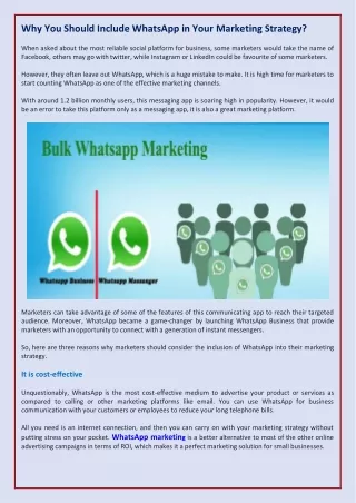 Why You Should Include WhatsApp in Your Marketing Strategy?
