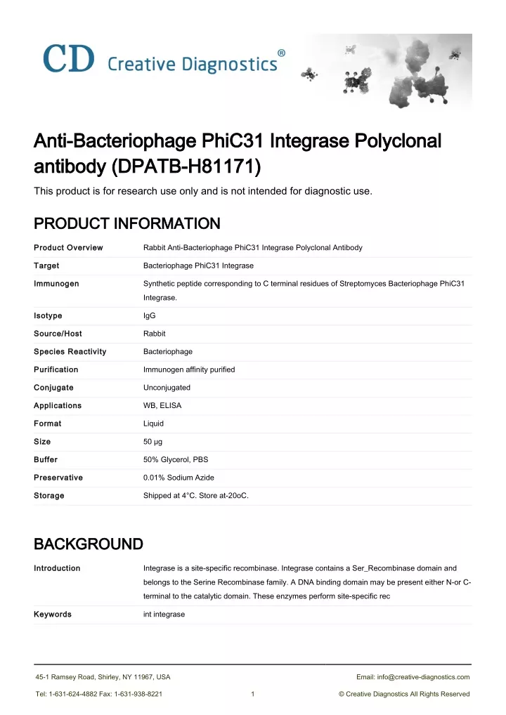 anti bacteriophage phic31 integrase polyclonal