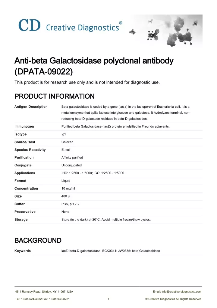 anti beta galactosidase polyclonal antibody anti
