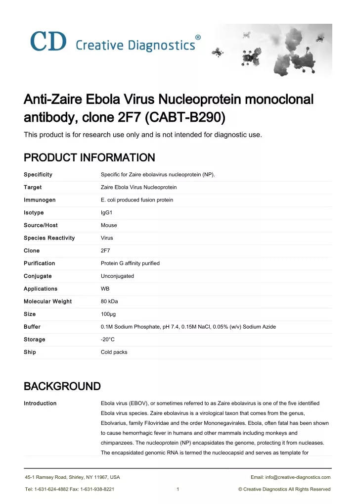 anti zaire ebola virus nucleoprotein monoclonal