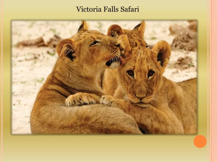 victoria falls safari
