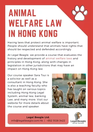 Animal Welfare Law in Hong Kong