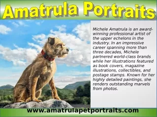 Animal Portraits