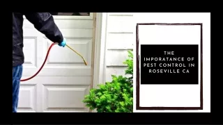 THE IMPORATANCE OF PEST CONTROL IN ROSEVILLE CA