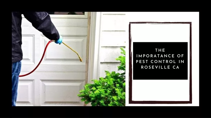 the imporatance of pest control in roseville ca