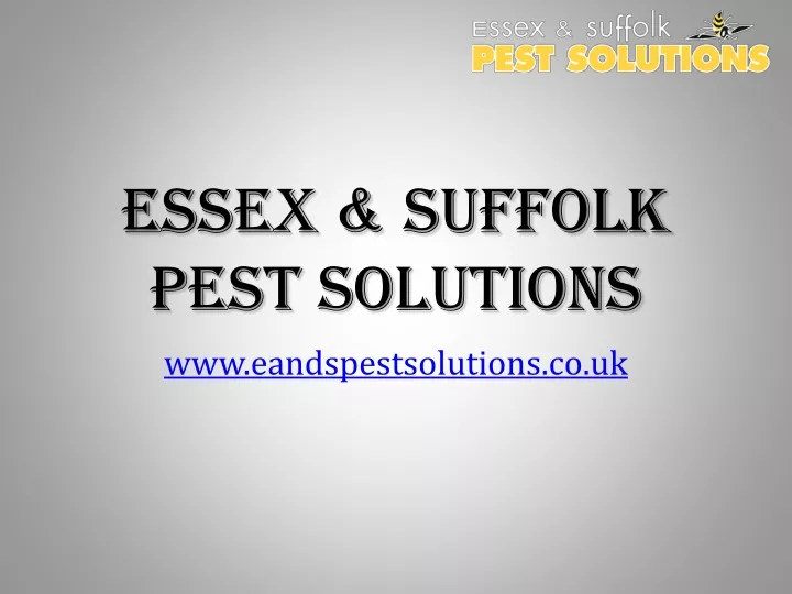 essex suffolk pest solutions
